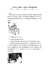 2025届广东省高三上学期12月联考物理试卷