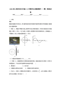 2025届上海市闵行区高三上学期学业质量调研(一模)物理试卷