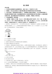 2024～2025学年河南省九师联盟高三(上)12月联考(月考)质量检测物理试卷(含答案)