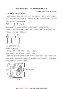 2024～2025学年高二(上)物理期末模拟卷试卷(含答案)