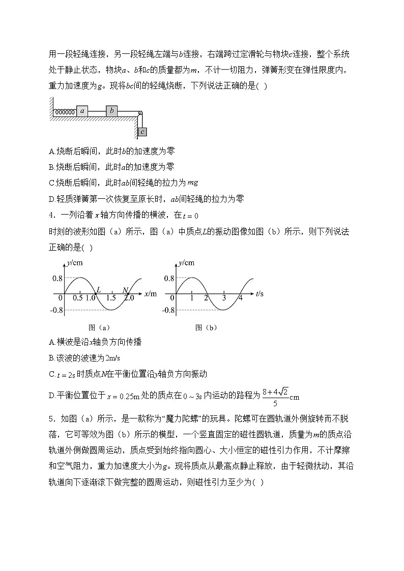 四川省成都市某中学2024-2025学年高三上学期12月月考物理试卷(含答案)第2页