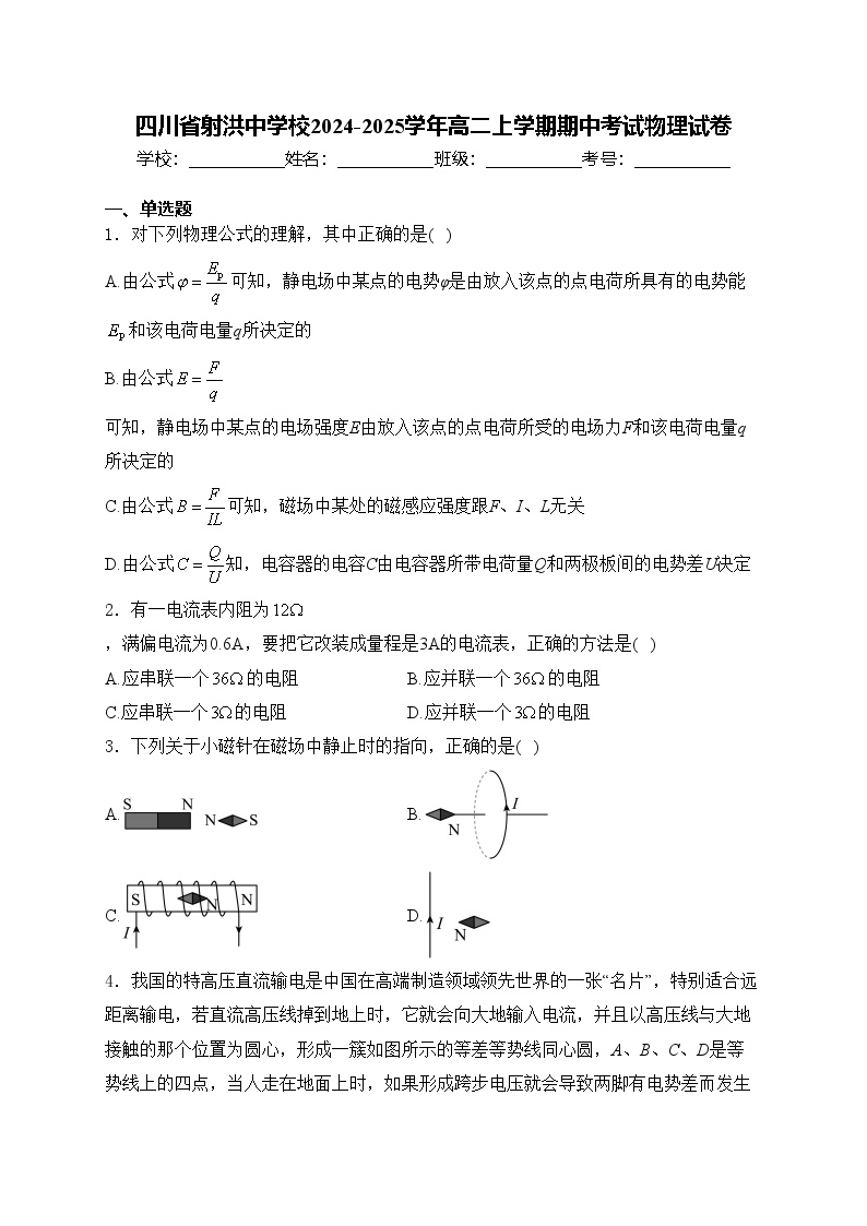 四川省射洪中学校2024-2025学年高二上学期期中考试物理试卷(含答案)