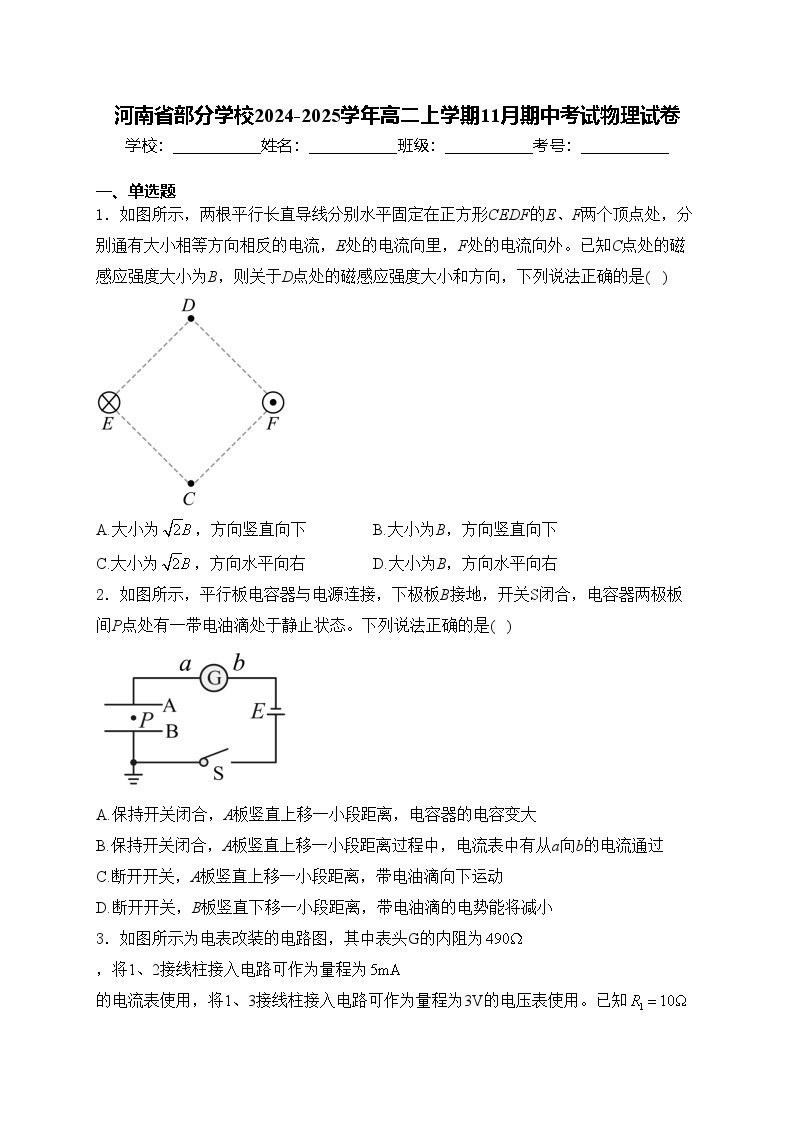 河南省部分学校2024-2025学年高二上学期11月期中考试物理试卷(含答案)