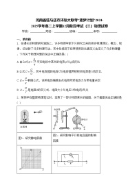 河南省驻马店市环际大联考“逐梦计划”2024-2025学年高二上学期12月阶段考试(三)物理试卷(含答案)
