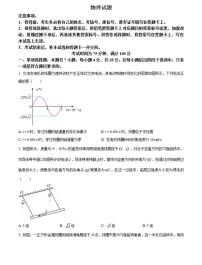 百师联考河南2024-2025学年高二上学期12月联考物理试卷及答案
