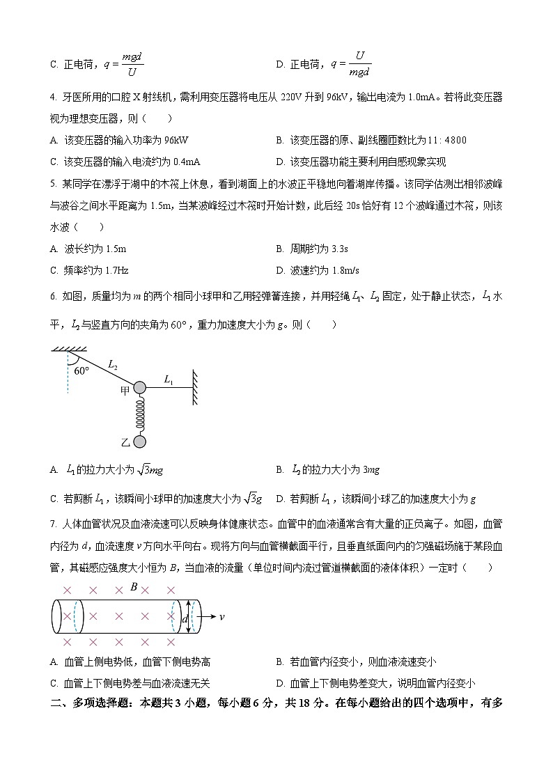 2025年陕西普通高中学业水平选择性考试适应性演练(八省联考陕西物理试卷)(原卷版)第2页