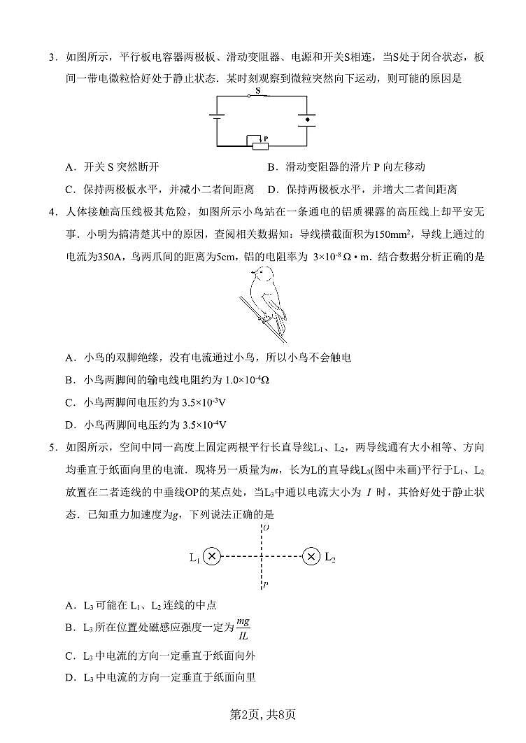 重庆西南大学附中2025届高三高考一诊模拟考试-物理+答案第2页