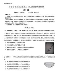 山東省名校2025屆高三上學期12月校際聯(lián)合檢測-物理試題+答案