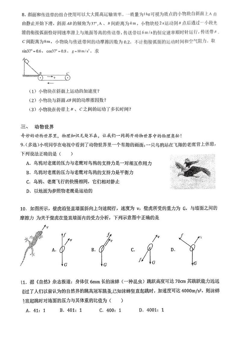 上海市松江区云间中学2024-2025学年高一上学期期末考试物理试卷第3页