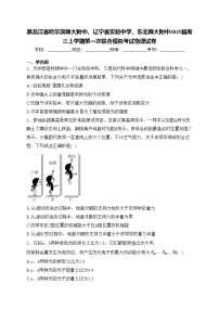 黑龙江省哈尔滨师大附中、辽宁省实验中学、东北师大附中2025届高三上学期第一次联合模拟考试物理试卷(含答案)