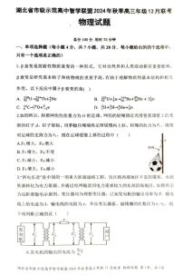 湖北省市级示范高中智学联盟2024-2025学年高三上学期12月月考 物理试题