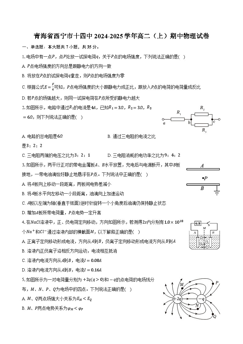 青海省西宁市十四中2024-2025学年高二(上)期中物理试卷(含解析)第1页