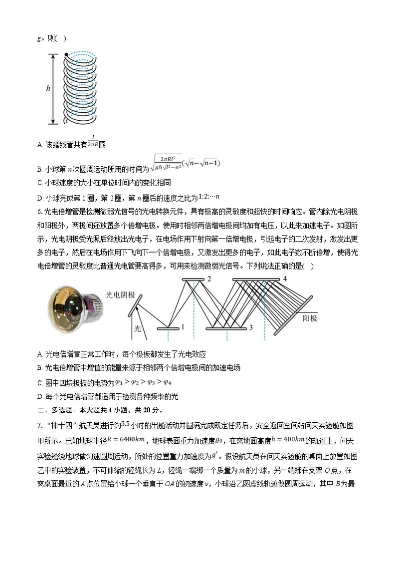 湖南省长沙市雅礼中学2024-2025学年高三上学期期末考试物理试题(Word版附答案)第2页