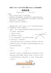 四川省成都市第七中学2025届高三上学期12月阶段检测-物理试卷+答案