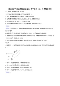 重庆市沙坪坝区学校2024-2025学年高二（上）月考物理试卷（解析版）
