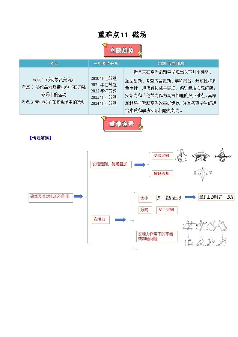 重难点11 磁场-2025年高考物理 热点 重点 难点 专练(江苏专用) (解析版)2025第1页