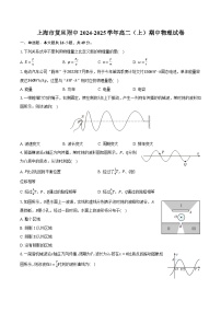 上海市复旦附中2024-2025学年高二（上）期中物理试卷（含解析）