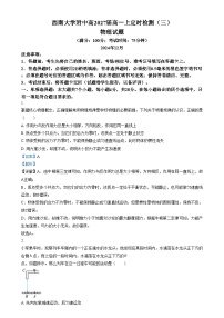 重庆市西南大学附属中学2024-2025学年高一上学期定时检测三物理试卷（Word版附解析）