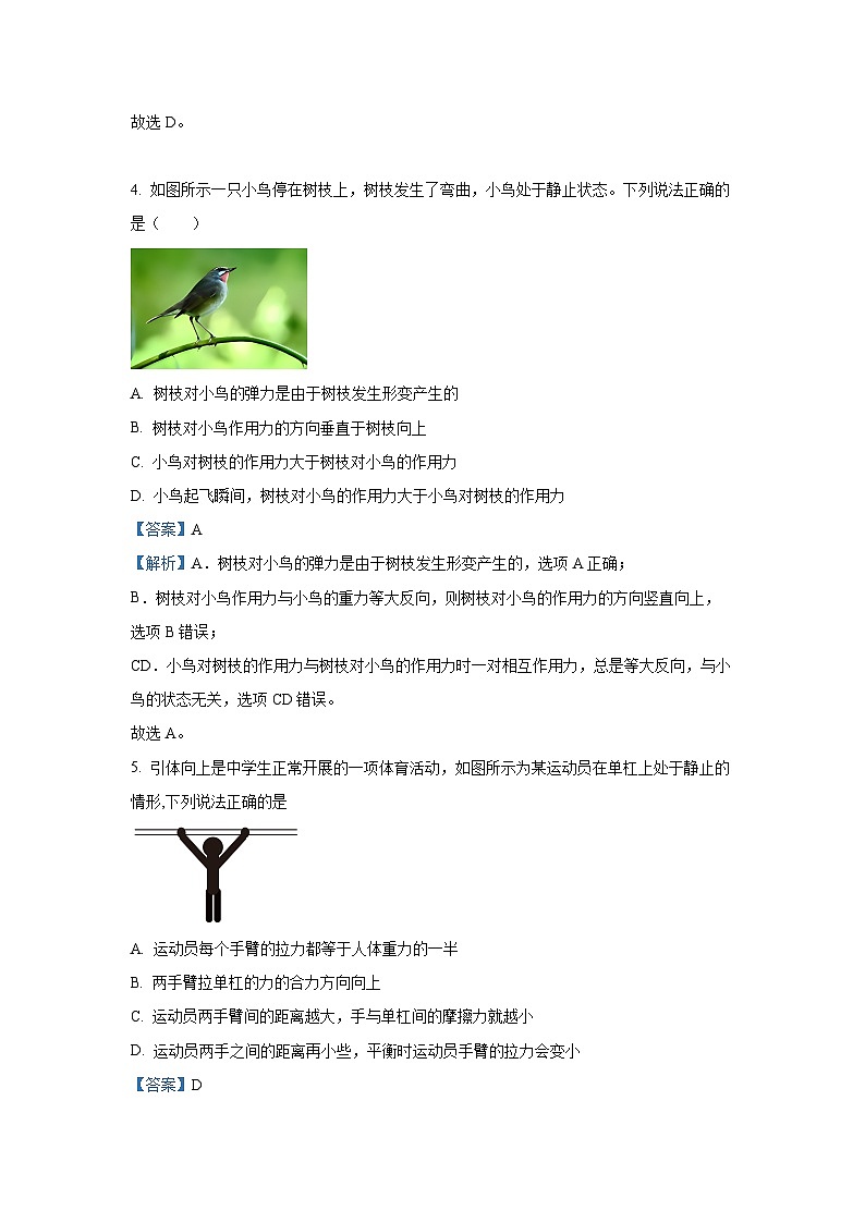 2024~2025学年江苏省徐州市睢宁县高一上学期11月期中物理试卷(解析版)第3页