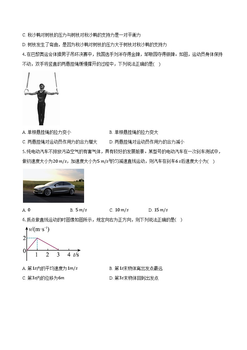 安徽省定远县民办学校2024-2025学年第一学期高一物理期末试题(答案解析)第2页