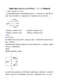 安徽省马鞍山多校2024-2025学年高二（上）11月物理试卷（含解析）