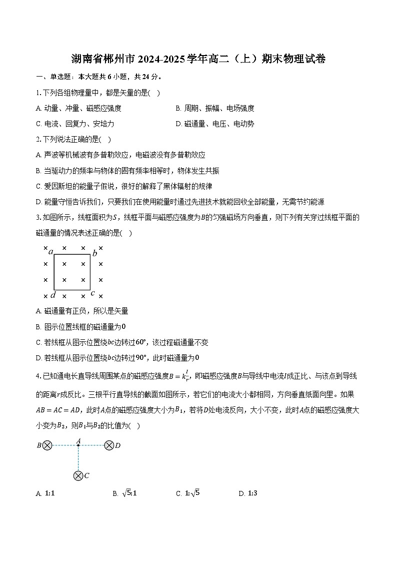 湖南省郴州市2024-2025学年高二(上)期末物理试卷-第1页