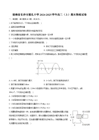 湖南省长沙市雅礼中学2024-2025学年高二（上）期末物理试卷