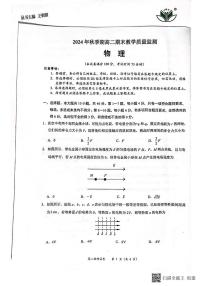 广西壮族自治区来宾市金秀瑶族自治县2024-2025学年高二上学期1月期末物理试题
