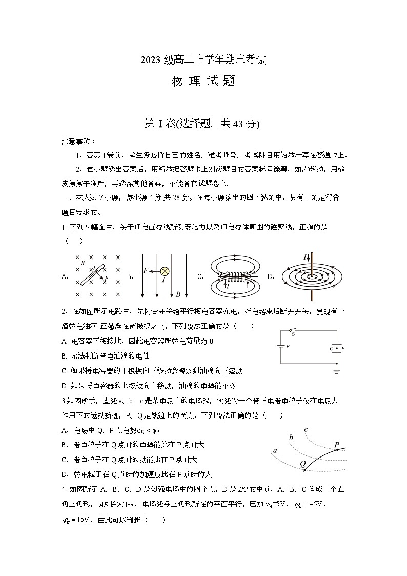 四川省眉山市育英实验学校2024-2025学年高二上学期1月期末 物理试题第1页