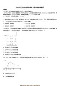 2023～2024学年吉林省高三物理高考适应性考试试卷(含解析)
