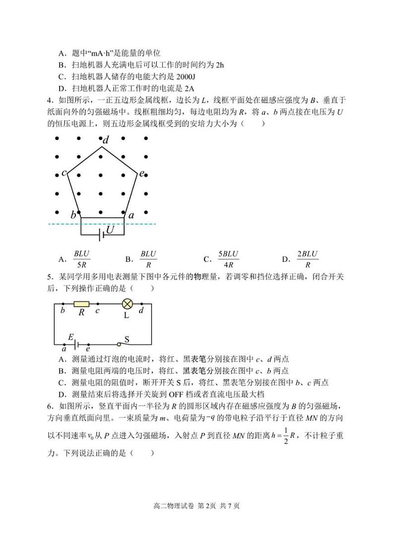 2024~2025学年湖北省武汉市常青联合体高二上1月期末考试物理试卷(含答案)第2页