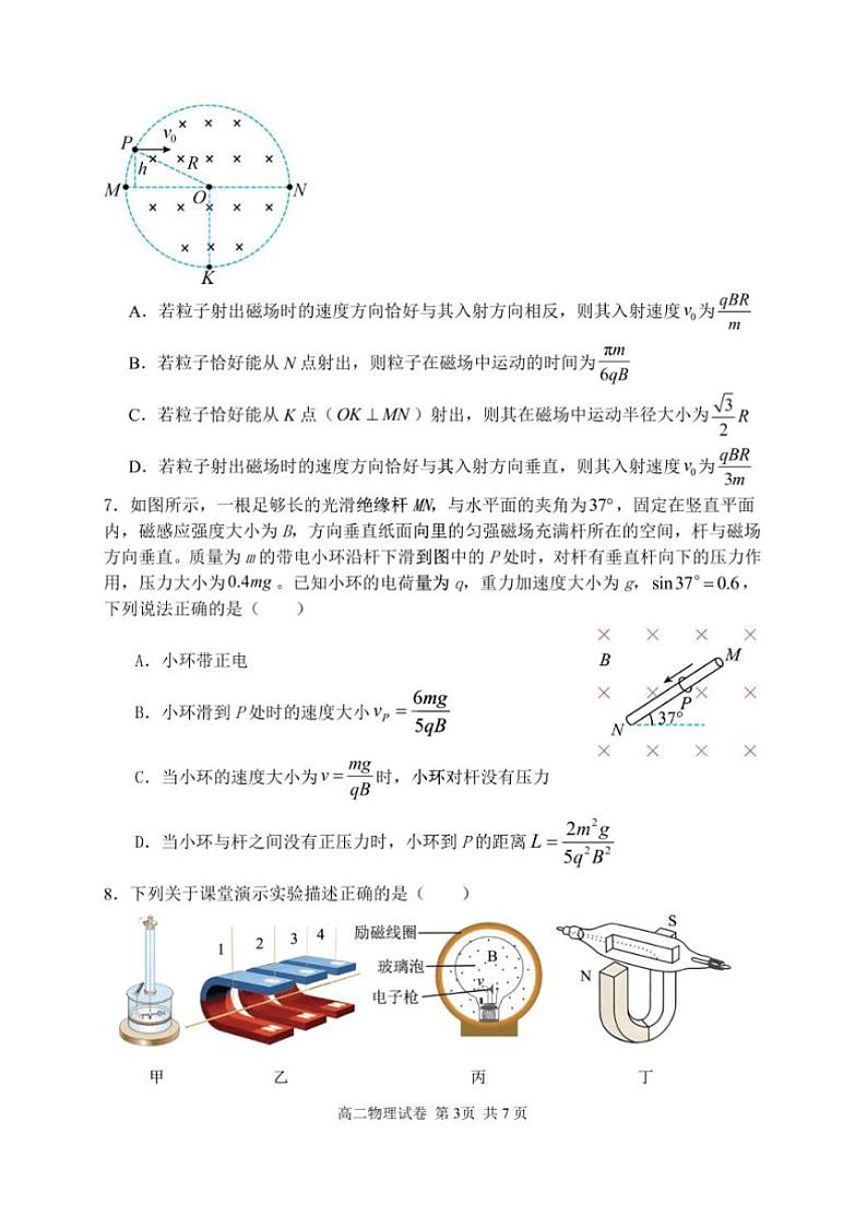 2024~2025学年湖北省武汉市常青联合体高二上1月期末考试物理试卷(含答案)第3页