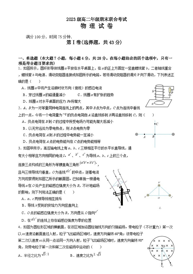 2025眉山东坡区高二上学期1月期末考试物理含答案第1页
