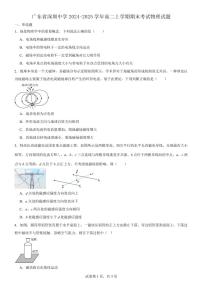 深圳中学2024-2025学年高二上学期期末考试物理试题+答案
