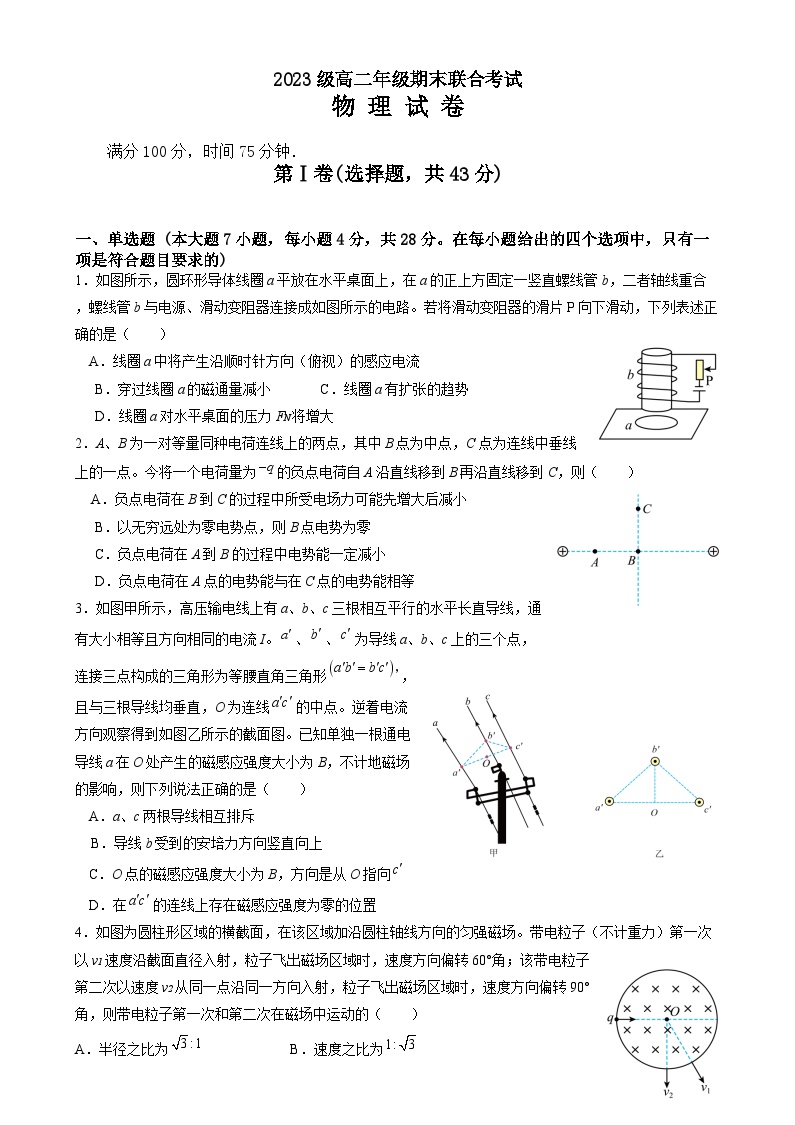 四川省眉山市东坡区2024-2025学年高二上学期1月期末考试物理试题（Word版附答案）