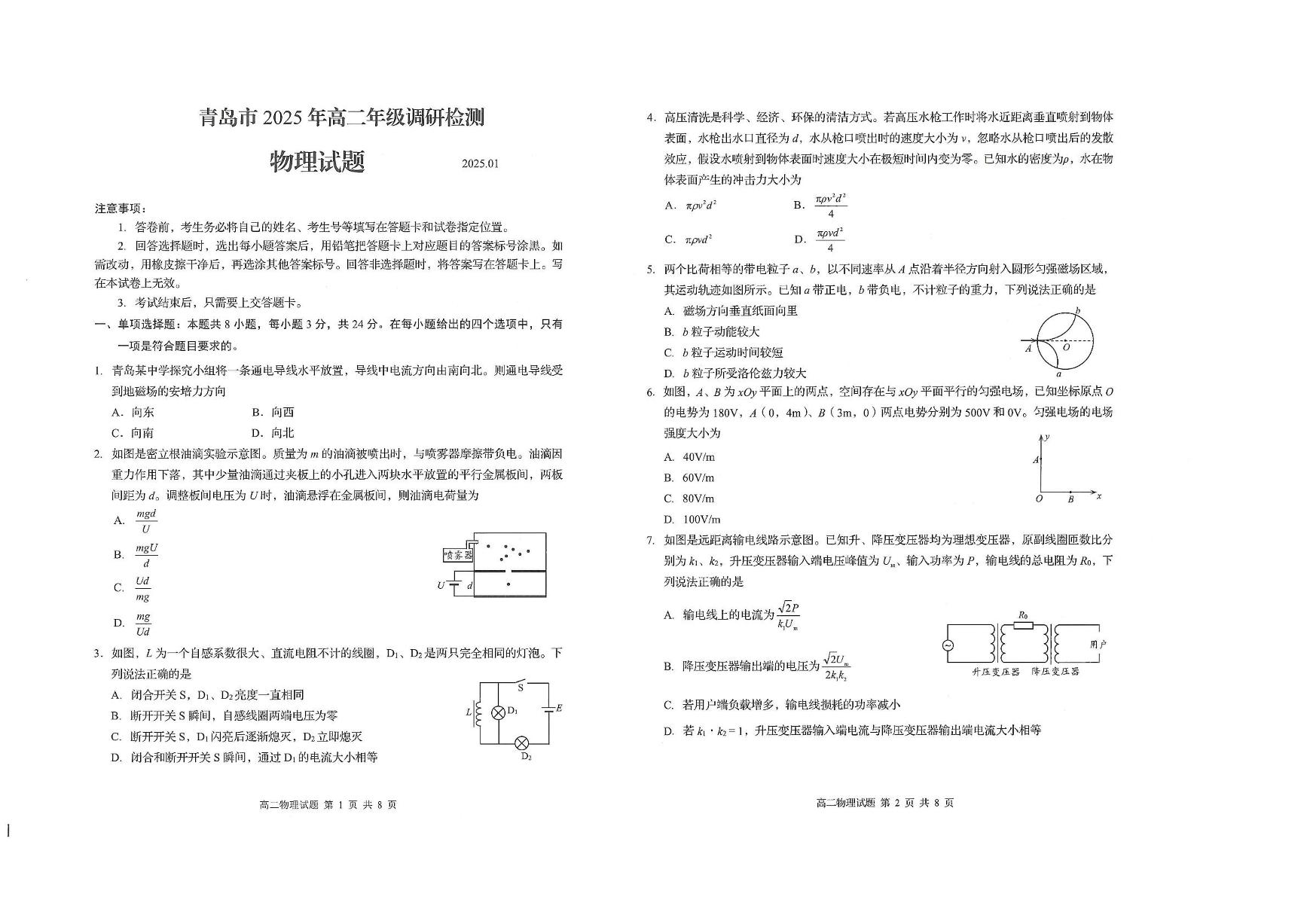 山东省青岛市2024-2025学年高二上学期期末调研检测物理试题