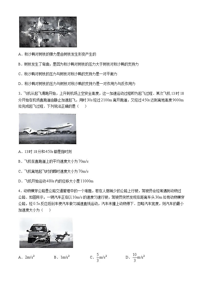 河北省部分重点高中2024-2025学年高一上学期11月月考物理试卷含答案第2页