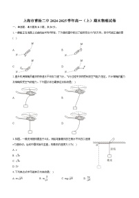 上海市曹杨二中2024-2025学年高一（上）期末物理试卷