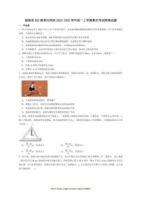 2024~2025学年湖南省920教育共同体高一上期末考试物理试卷(含解析)