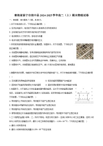 青海省西宁市湟中县2024-2025学年高二(上)期末物理试卷