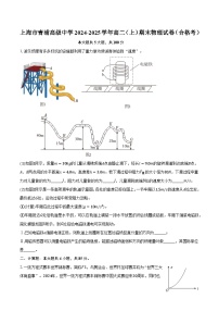 上海市青浦高级中学2024-2025学年高二(上)期末物理试卷(合格考)