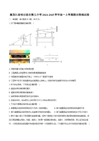 黑龙江省哈尔滨市第九中学2024-2025学年高一上学期期末物理试卷（含解析）