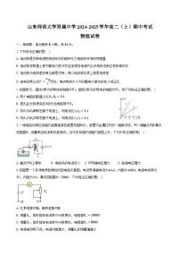 山东师范大学附属中学2024-2025学年高二上学期期中物理试卷（含解析）