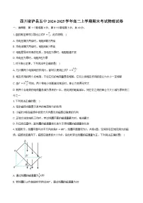 四川省泸县五中2024-2025学年高二上学期期末考试物理试卷(含解析)