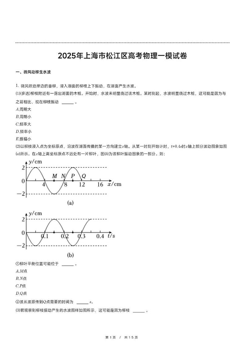 2025年上海市松江区高考物理一模试卷第1页