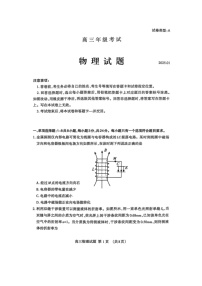 山東省泰安市2024-2025學(xué)年高三上學(xué)期期末考試（圖片版）物理試卷