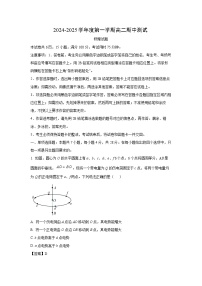 广东省阳江市高新区2024-2025学年高二上学期11月期中物理试卷（解析版）