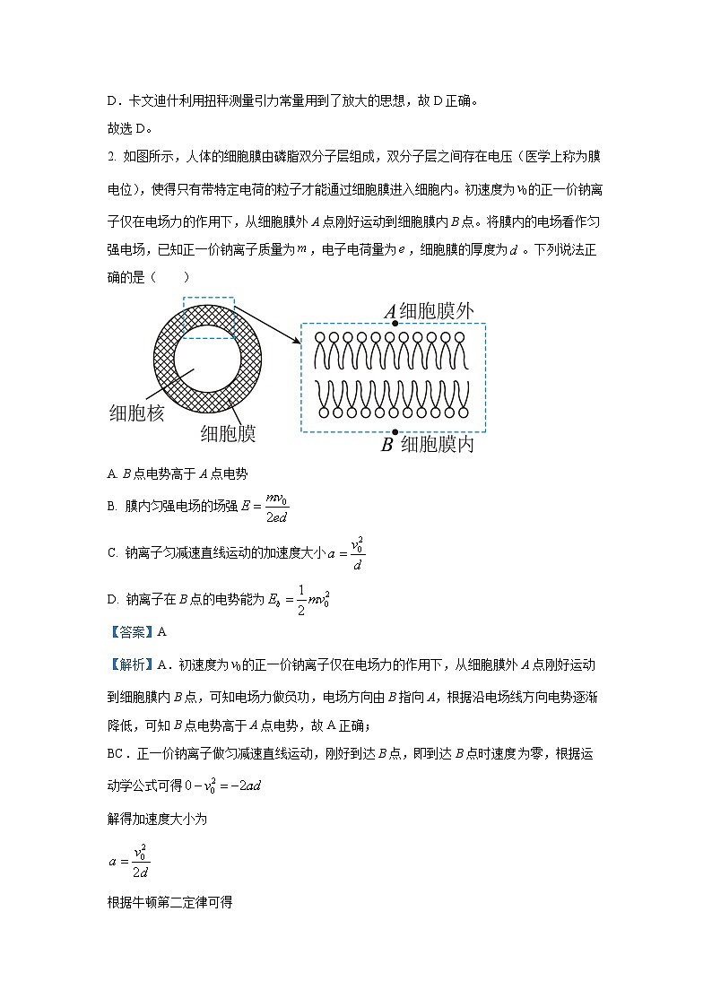 河北省廊坊市2024-2025学年高三上学期期末考试物理试题(解析版)第2页