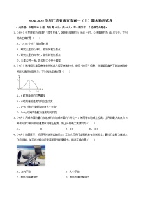 2024-2025学年江苏省南京市高一（上）期末物理试卷