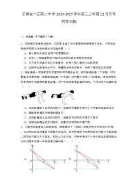 安徽省六安第二中学2024-2025学年高三上学期12月月考 物理试题